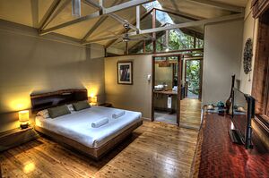 Room interior - Daintree Wilderness Lodge